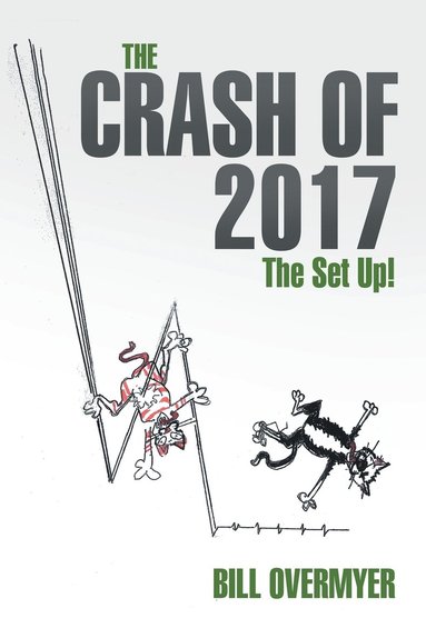bokomslag Crash of 2017