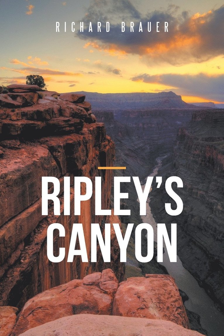 Ripley's Canyon 1