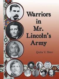 bokomslag Warriors in Mr. Lincoln'S Army