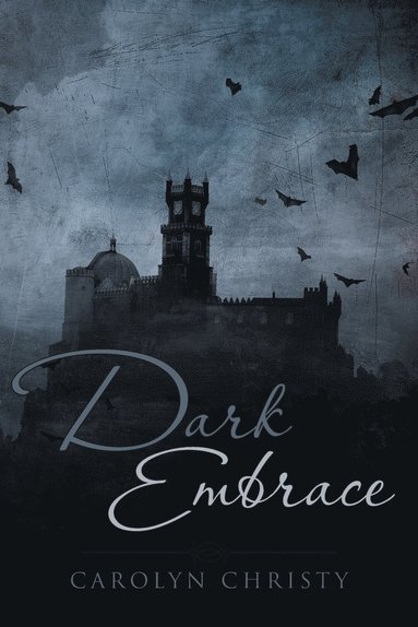 bokomslag Dark Embrace