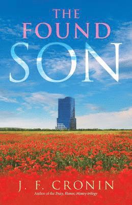 bokomslag Found Son