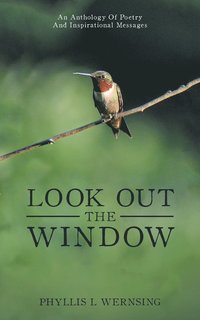 bokomslag Look Out the Window