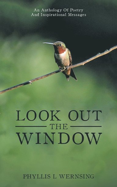 bokomslag Look Out the Window