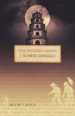 bokomslag Invisible Moon