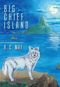 bokomslag Big Chief Island