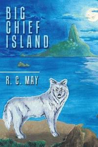 bokomslag Big Chief Island