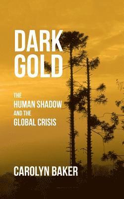 Carolyn Baker - Dark Gold, Häftad