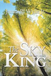 bokomslag The Sky King