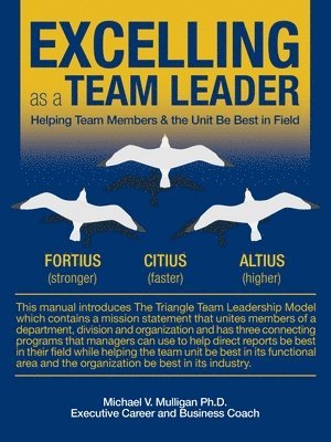 Excelling as a Team Leader 1