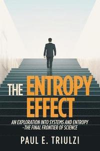 bokomslag The Entropy Effect