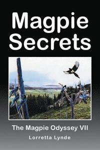 bokomslag Magpie Secrets