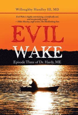 bokomslag Evil Wake