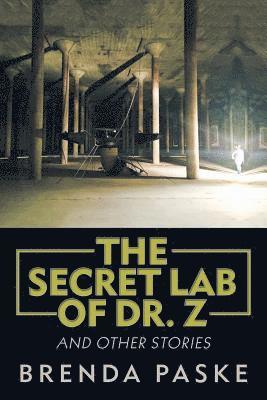 bokomslag The Secret Lab of Dr. Z