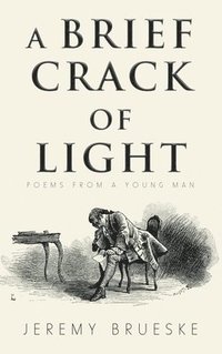 bokomslag A Brief Crack of Light