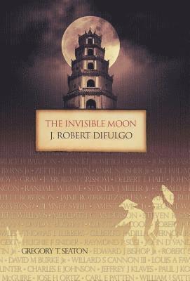 bokomslag Invisible Moon