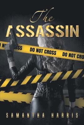 bokomslag Assassin
