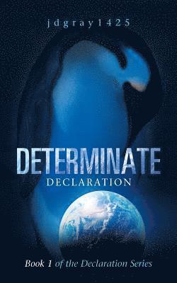 bokomslag Determinate