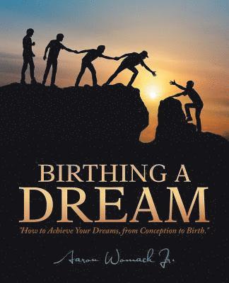 bokomslag Birthing a Dream