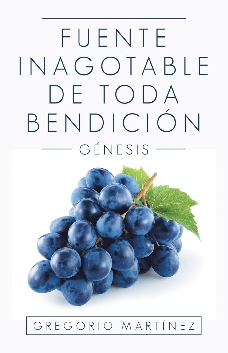 Gregorio Martínez - Fuente Inagotable De Toda Bendición, Häftad