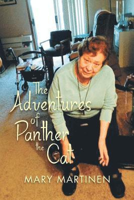 bokomslag Adventures of Panther the Cat