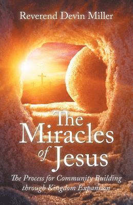 bokomslag The Miracles of Jesus