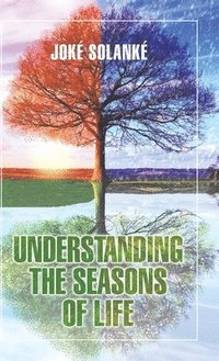 bokomslag Understanding the Seasons of Life