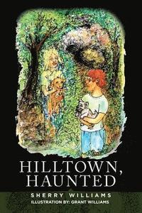 bokomslag Hilltown, Haunted