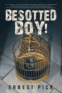 bokomslag Besotted Boy!