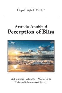 bokomslag Ananda Anubhuti Perception of Bliss