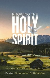 bokomslag Knowing the Holy Spirit