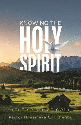 bokomslag Knowing the Holy Spirit