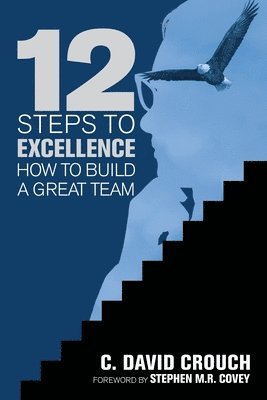 bokomslag 12 Steps to Excellence