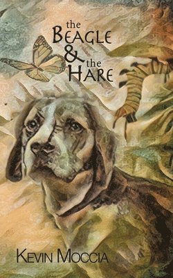 The Beagle and the Hare 1