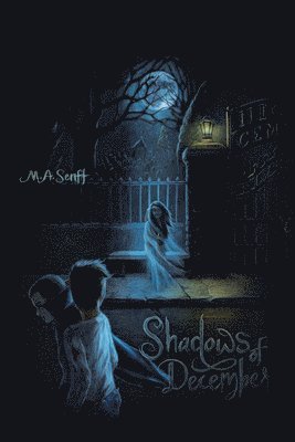 M a Senft - Shadows of December: Illusions of Time, Häftad