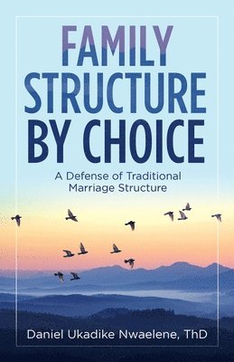 Family Structure by Choice 1