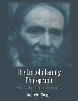 bokomslag The Lincoln Family Photograph