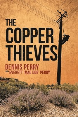 bokomslag Copper Thieves