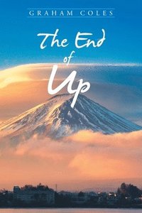 bokomslag The End of Up