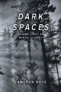 bokomslag Dark Spaces