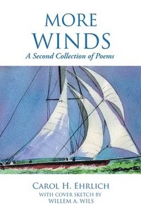 bokomslag More Winds