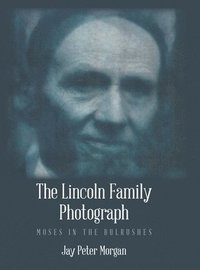 bokomslag The Lincoln Family Photograph