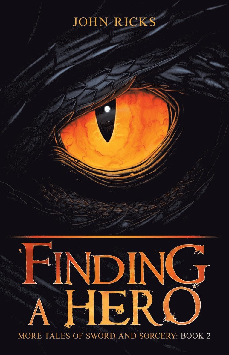 John Ricks - Finding a Hero, Häftad