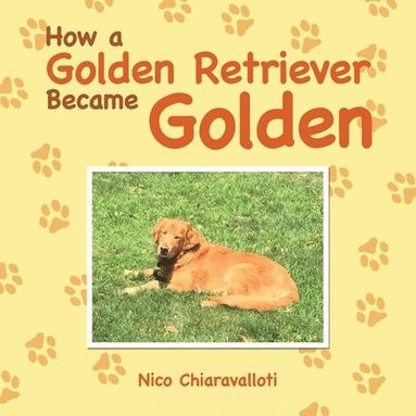 bokomslag How a Golden Retriever Became Golden