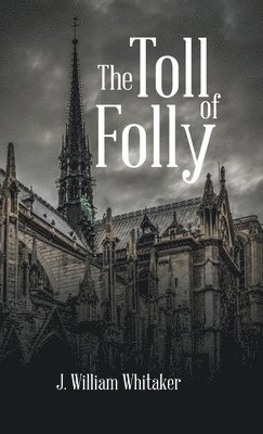 bokomslag Toll of Folly