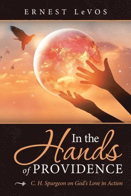 In the Hands of Providence 1