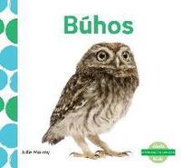bokomslag Búhos (Owls) (Spanish Version)