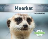 bokomslag Meerkat