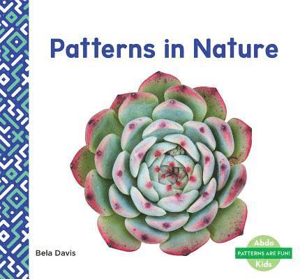 Bela Davis - Patterns in Nature, Inbunden