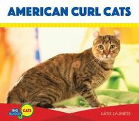 bokomslag American Curl Cats