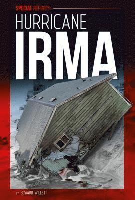 Edward Willett - Hurricane Irma, Inbunden
